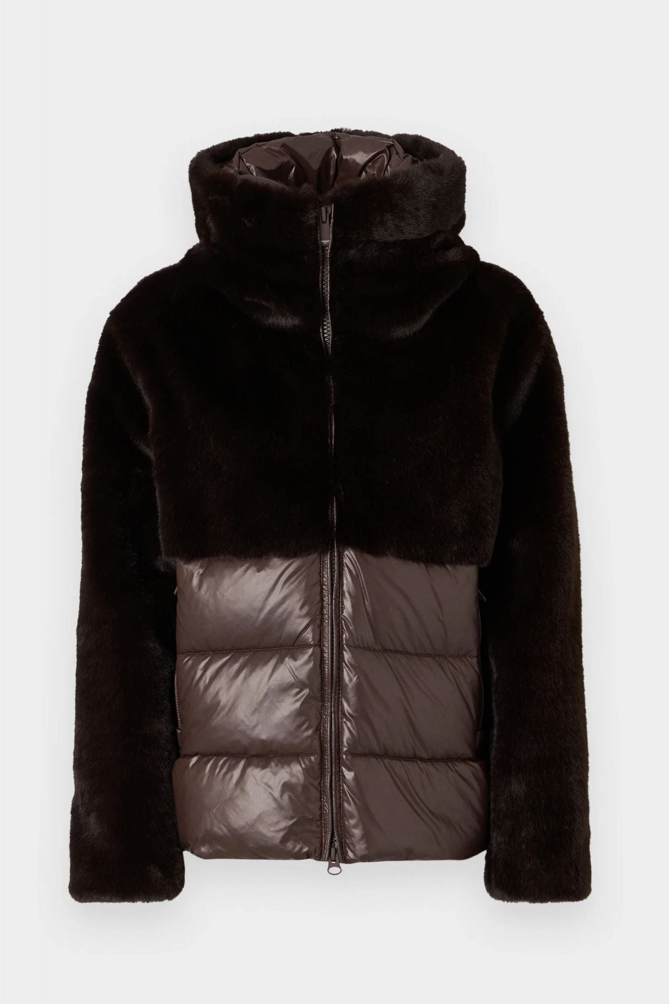 BLAUER FANEVIL en color MARRON (2)