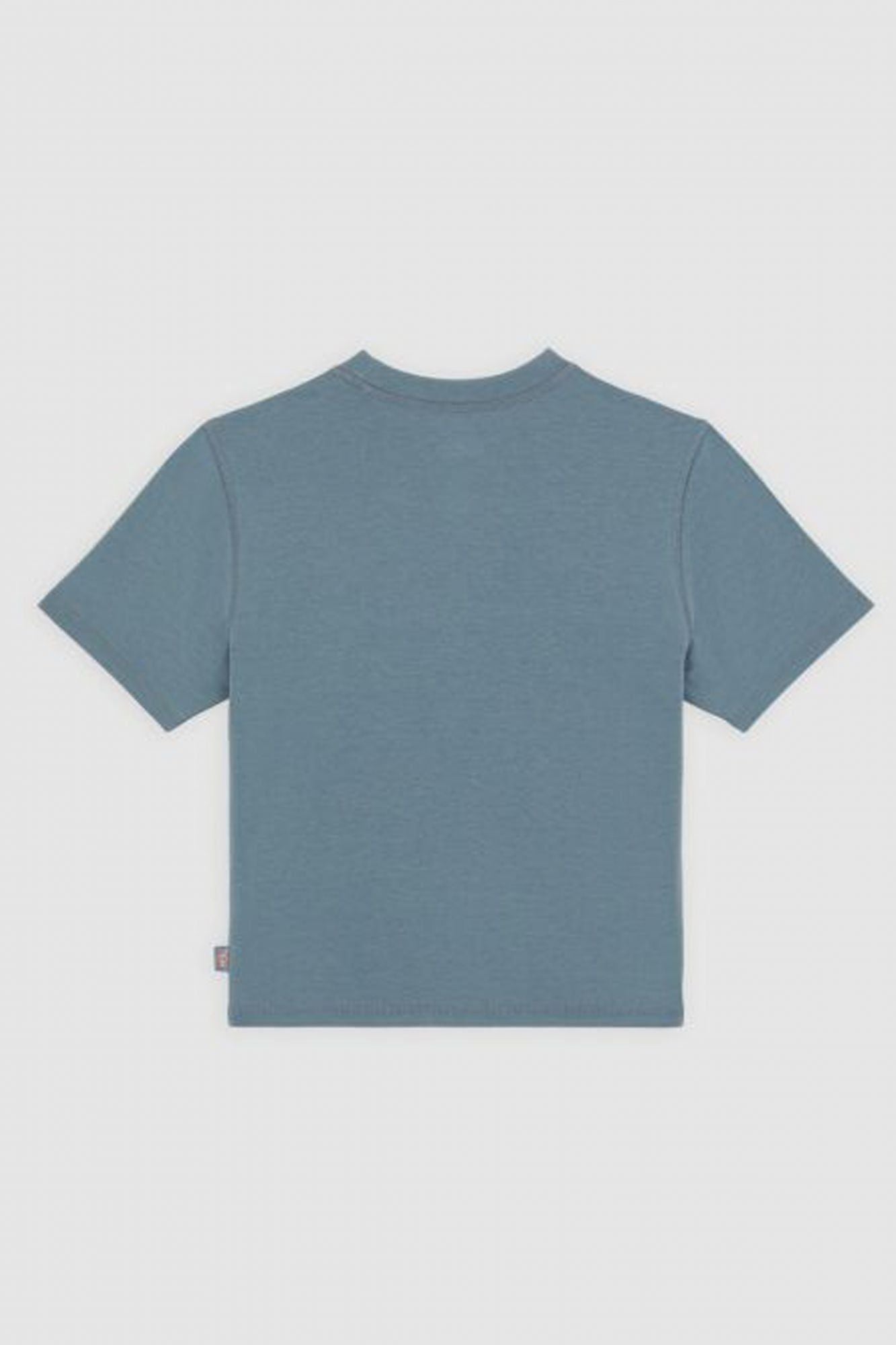 DICKIES DK0A4Z8FG701 CENTER LOGO en color AZUL (2)