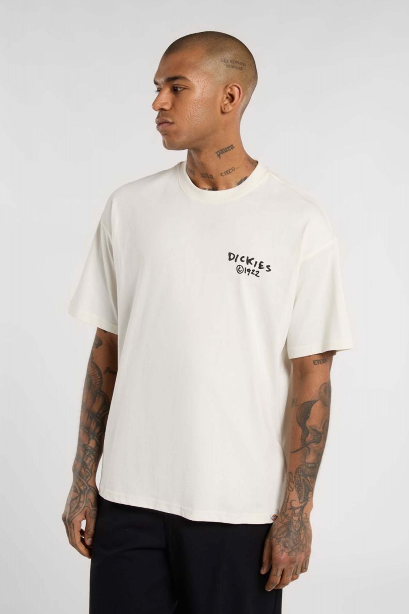 DICKIES SNEEDVILLE en color BLANCO (1)