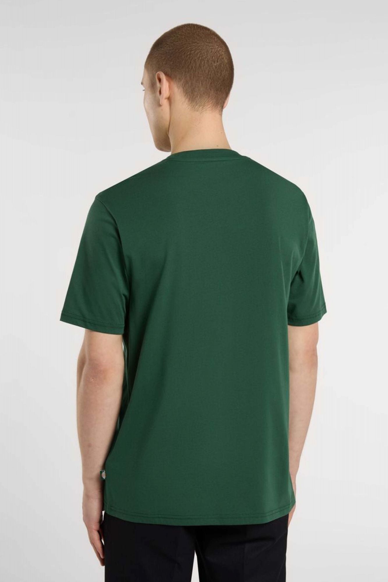 DICKIES MAPLETON SS TEE en color VERDE (3)
