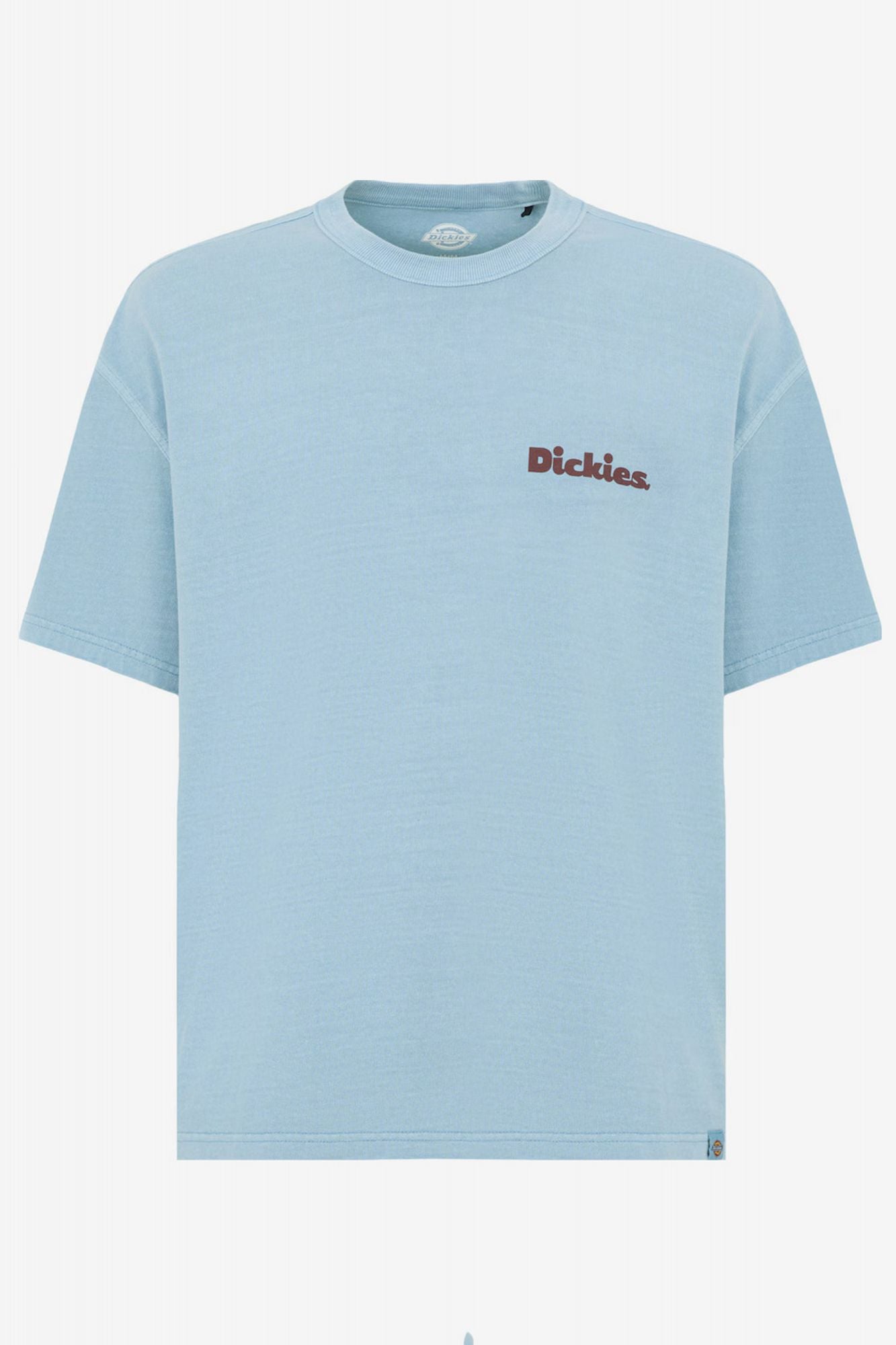 DICKIES SLAYDEN GD en color AZUL (2)