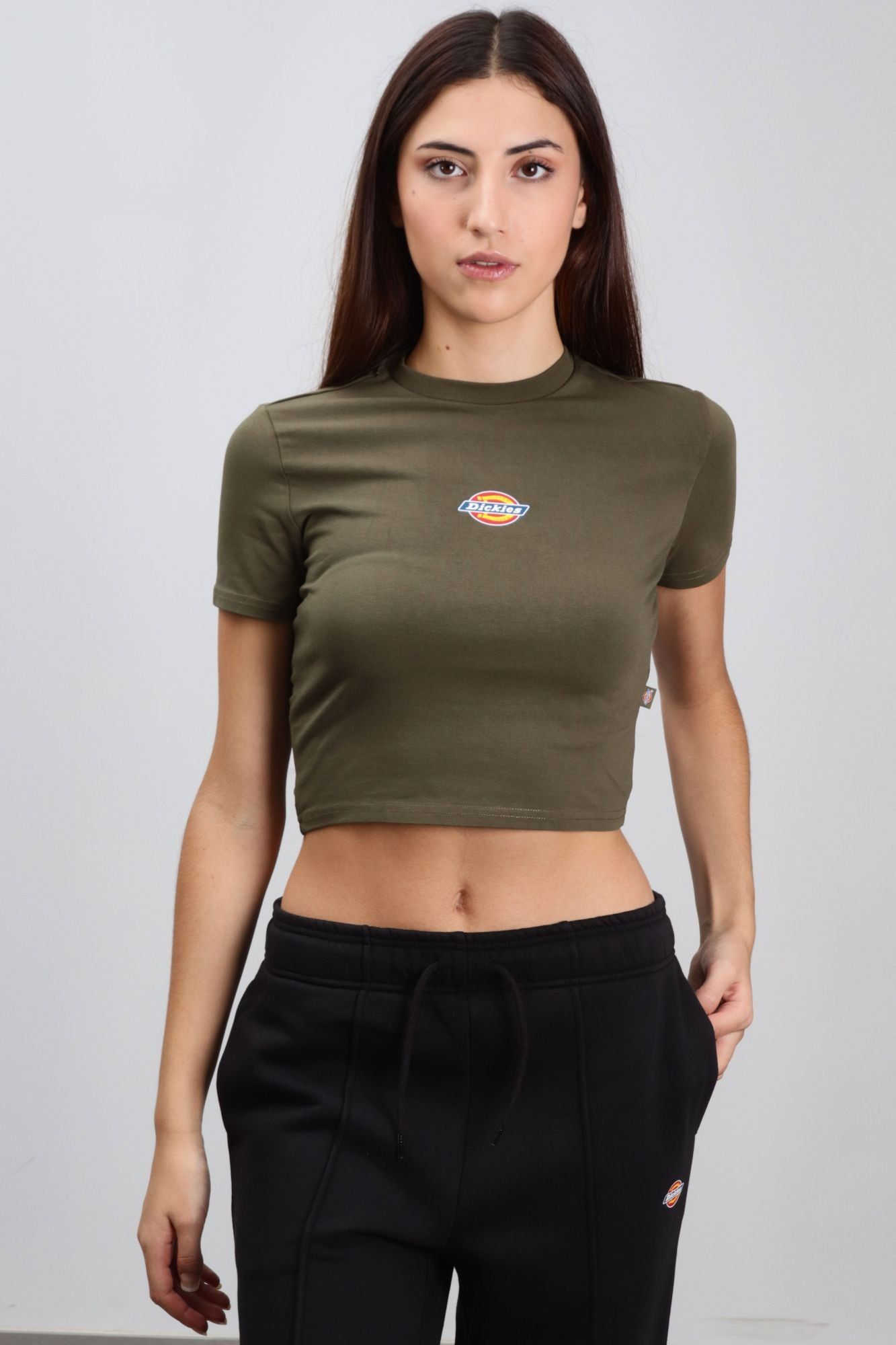 DICKIES  MAPLE VALLEY TEE en color VERDE (1)