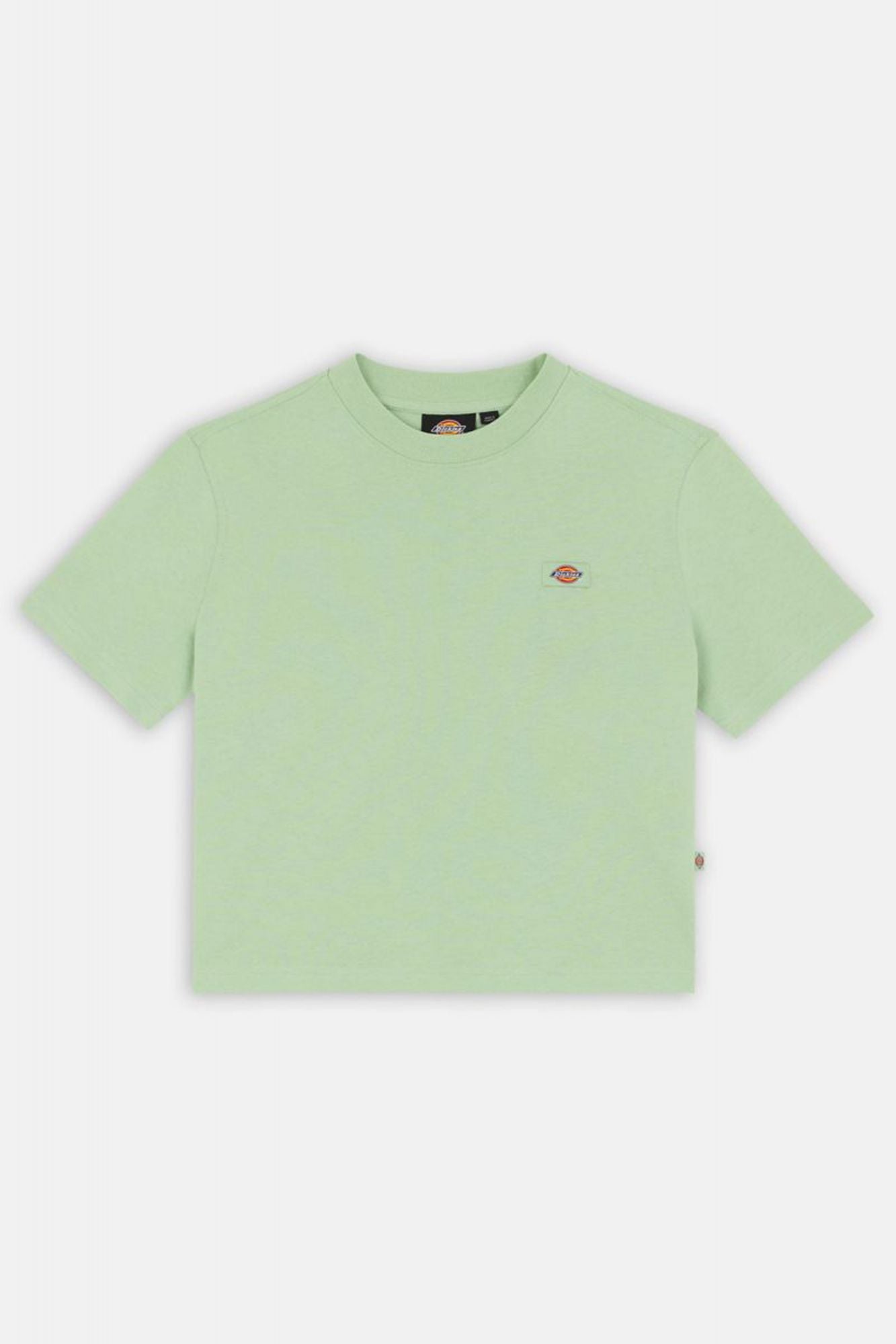 DICKIES  OAKPORT BOXY TEE SS W en color VERDE (2)