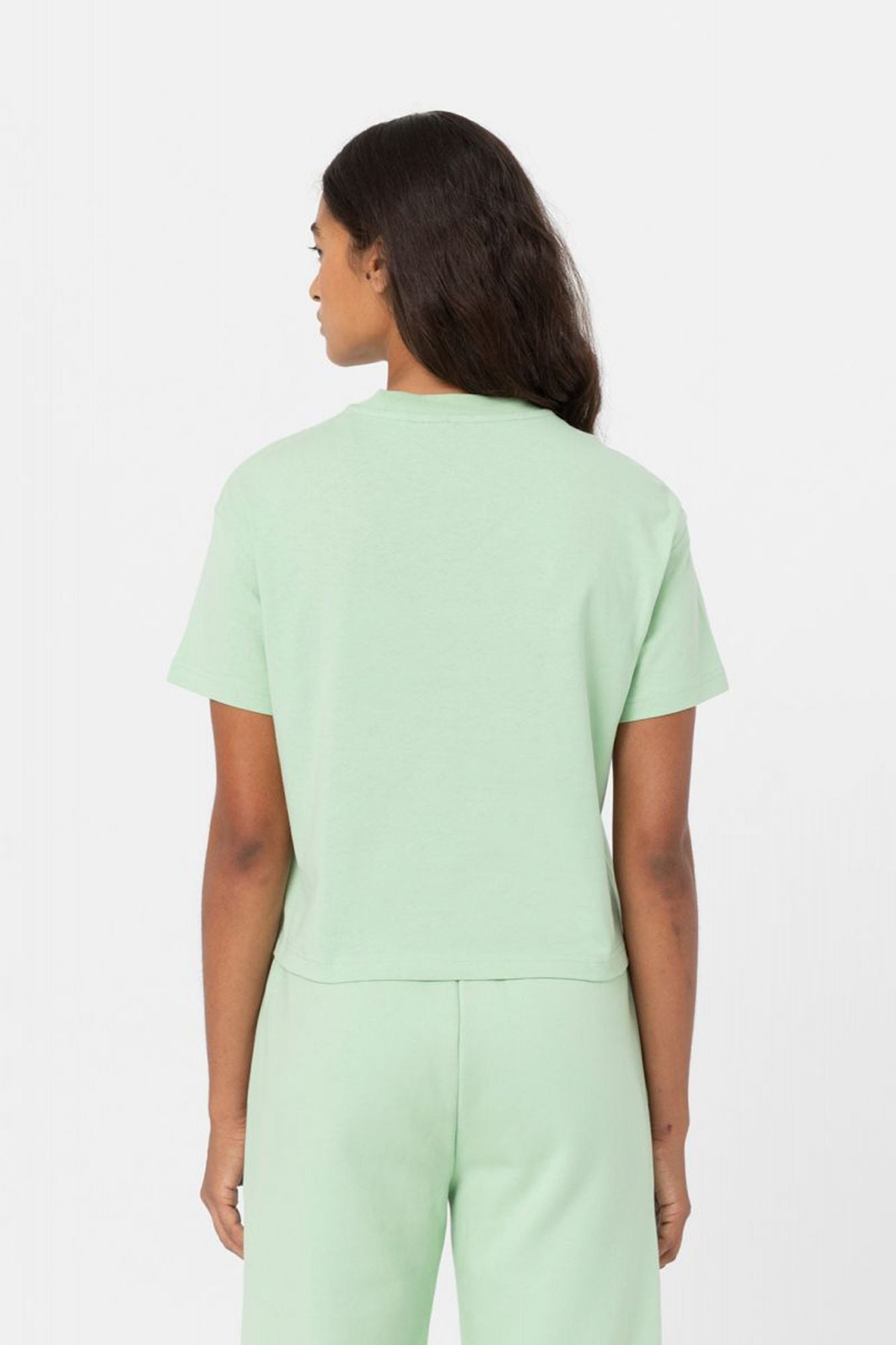 DICKIES  OAKPORT BOXY TEE SS W en color VERDE (3)
