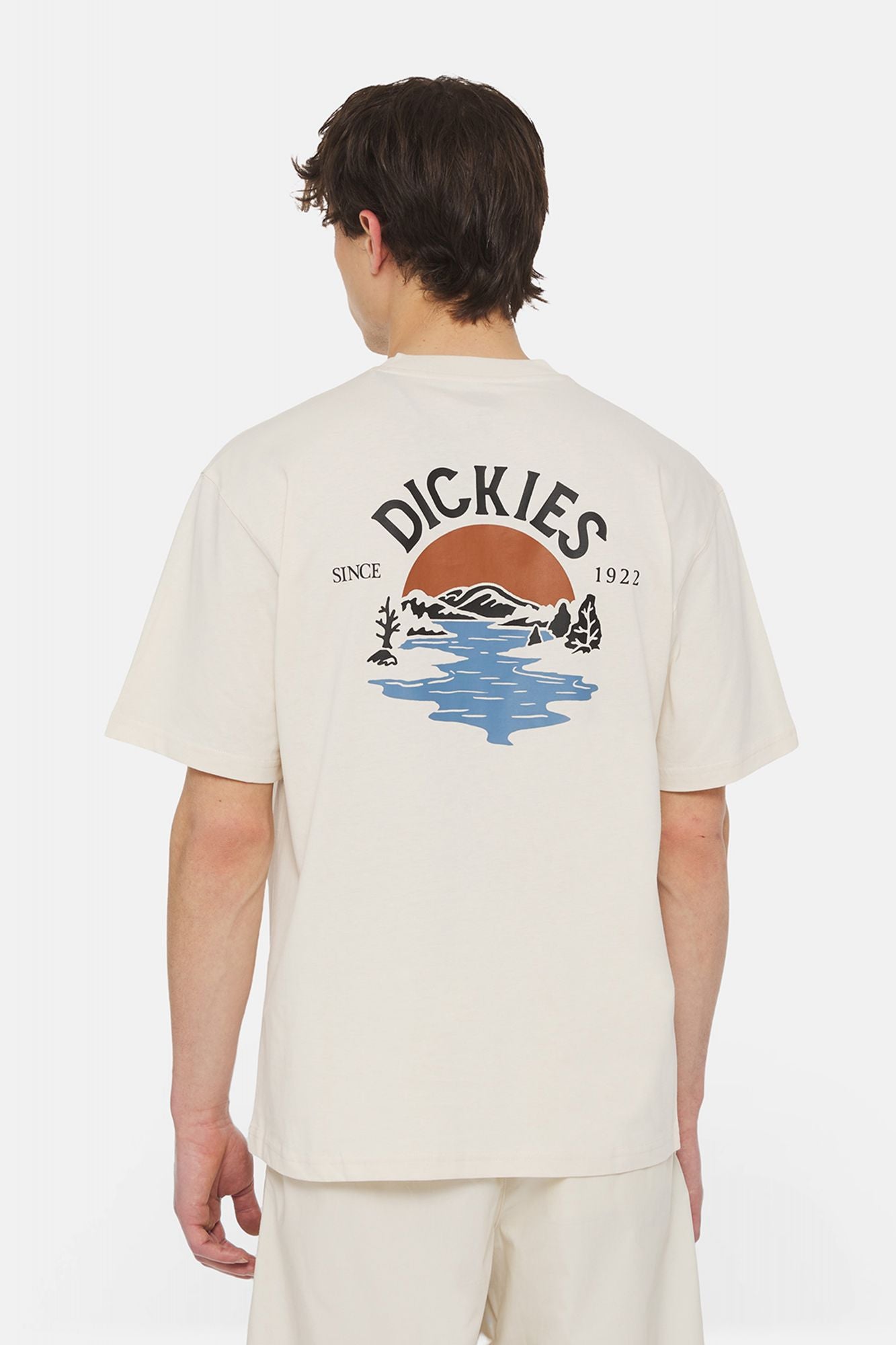 DICKIES BEACH TEE SS en color BLANCO (3)