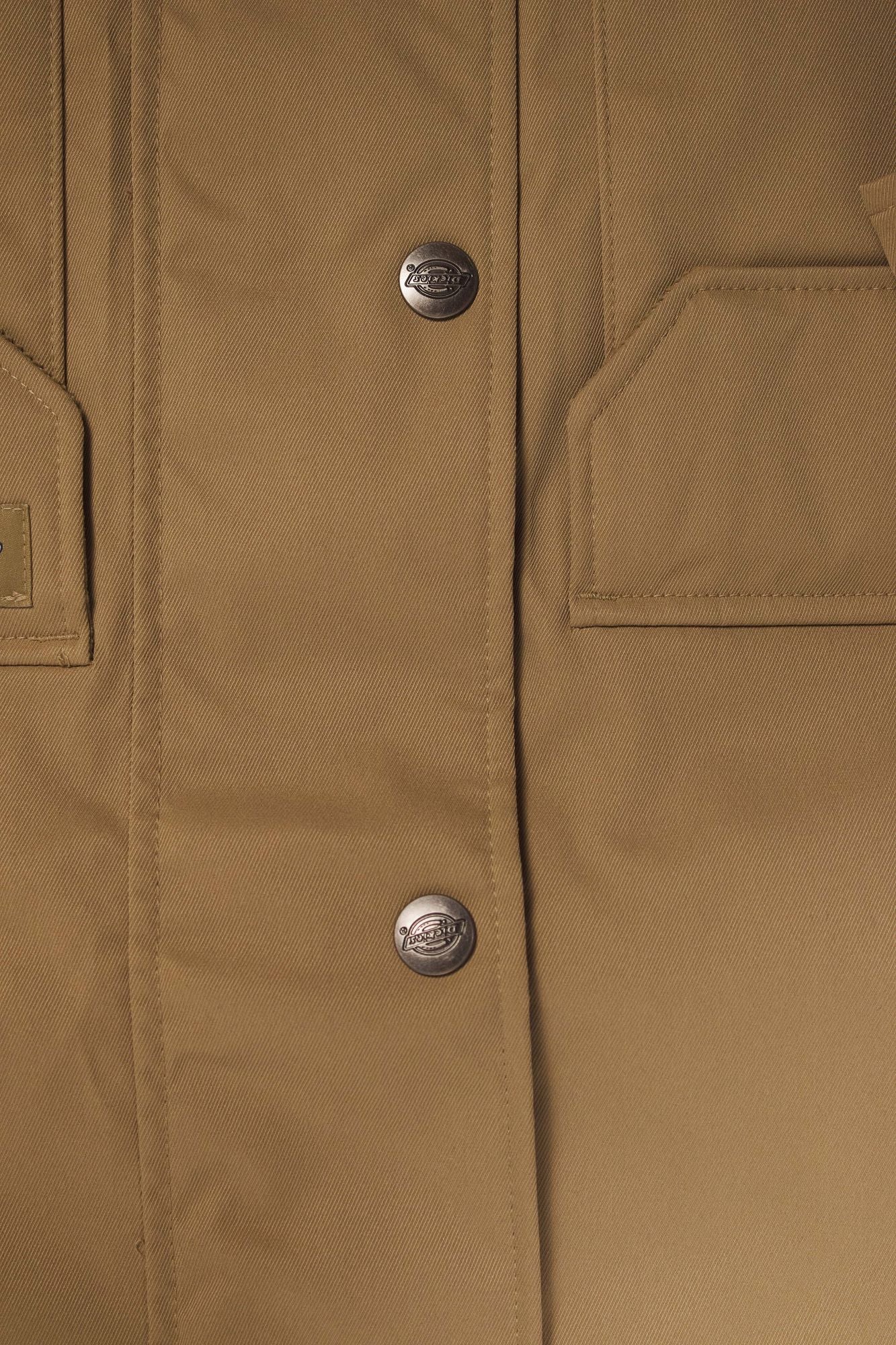 DICKIES  MEDINA  en color MARRON (3)