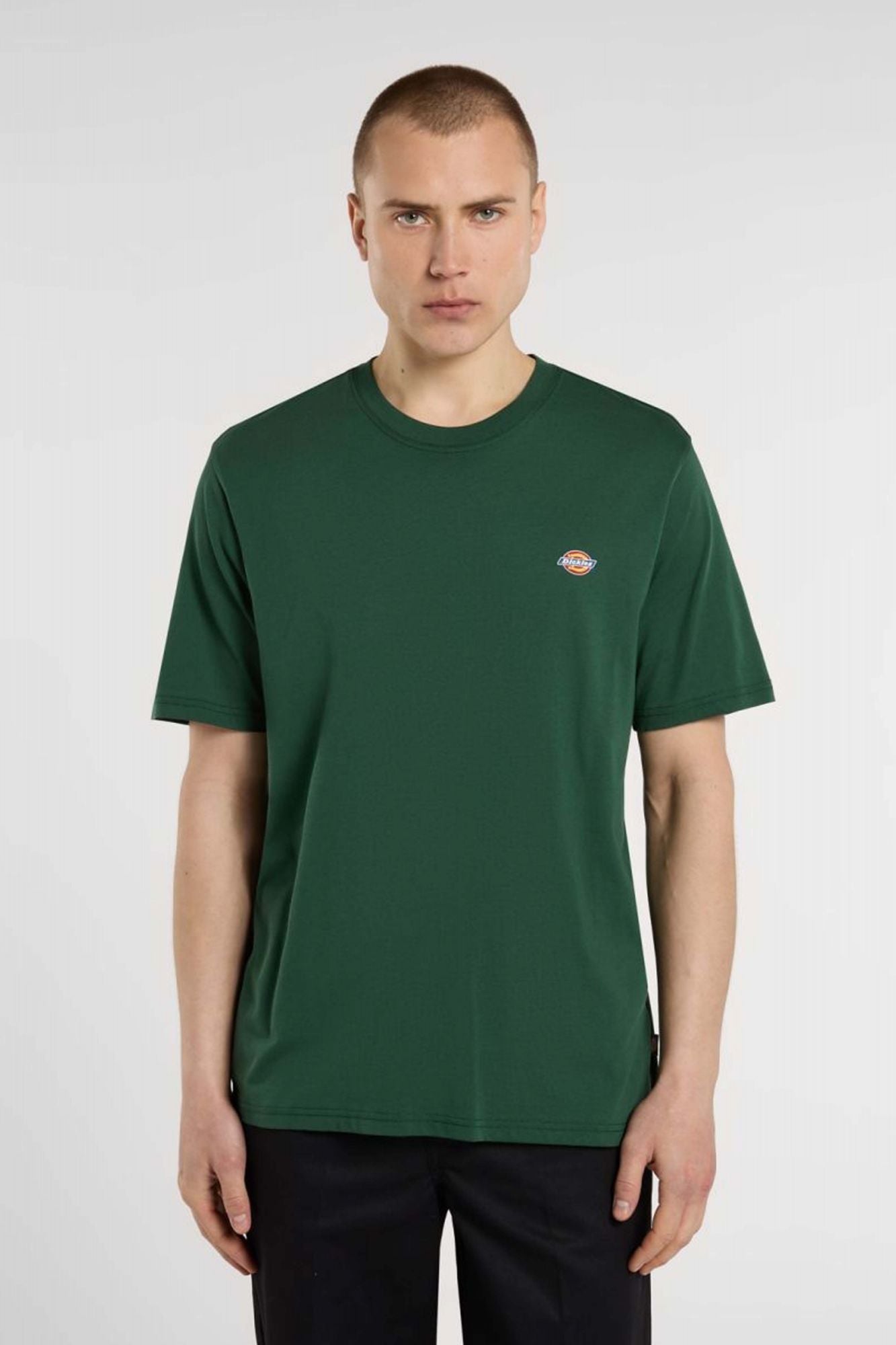 DICKIES MAPLETON SS TEE en color VERDE (1)