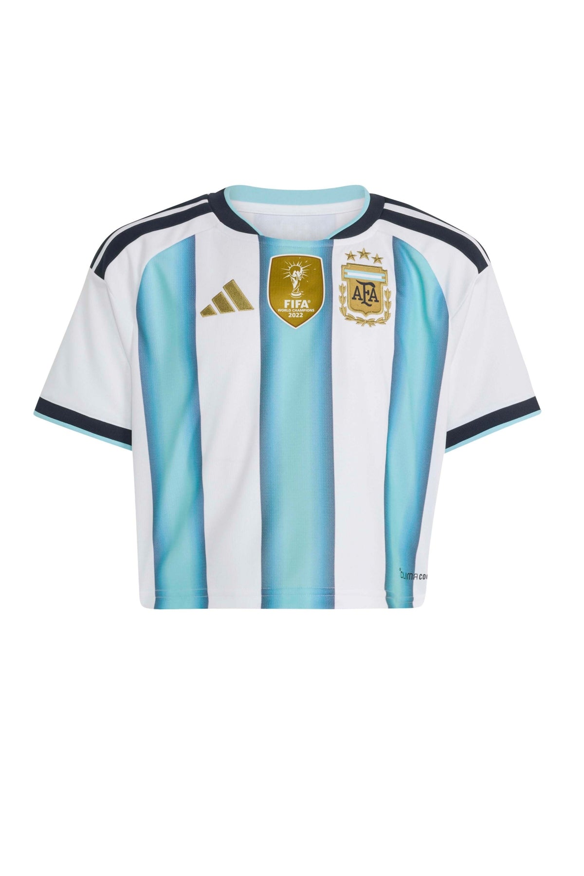 ADIDAS Camiseta Argentina 26 en color BLANCO (3)