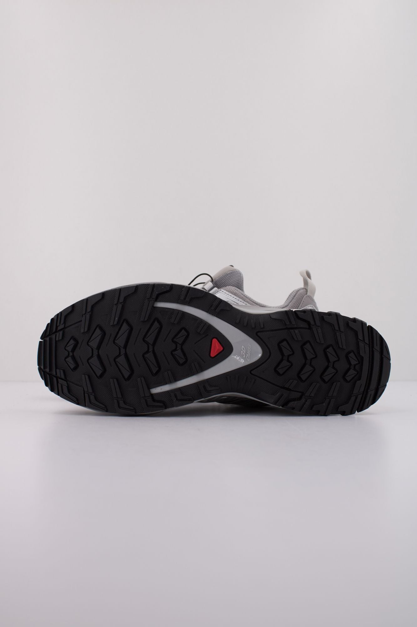 SALOMON XA PRO 3D en color PLATA (5)