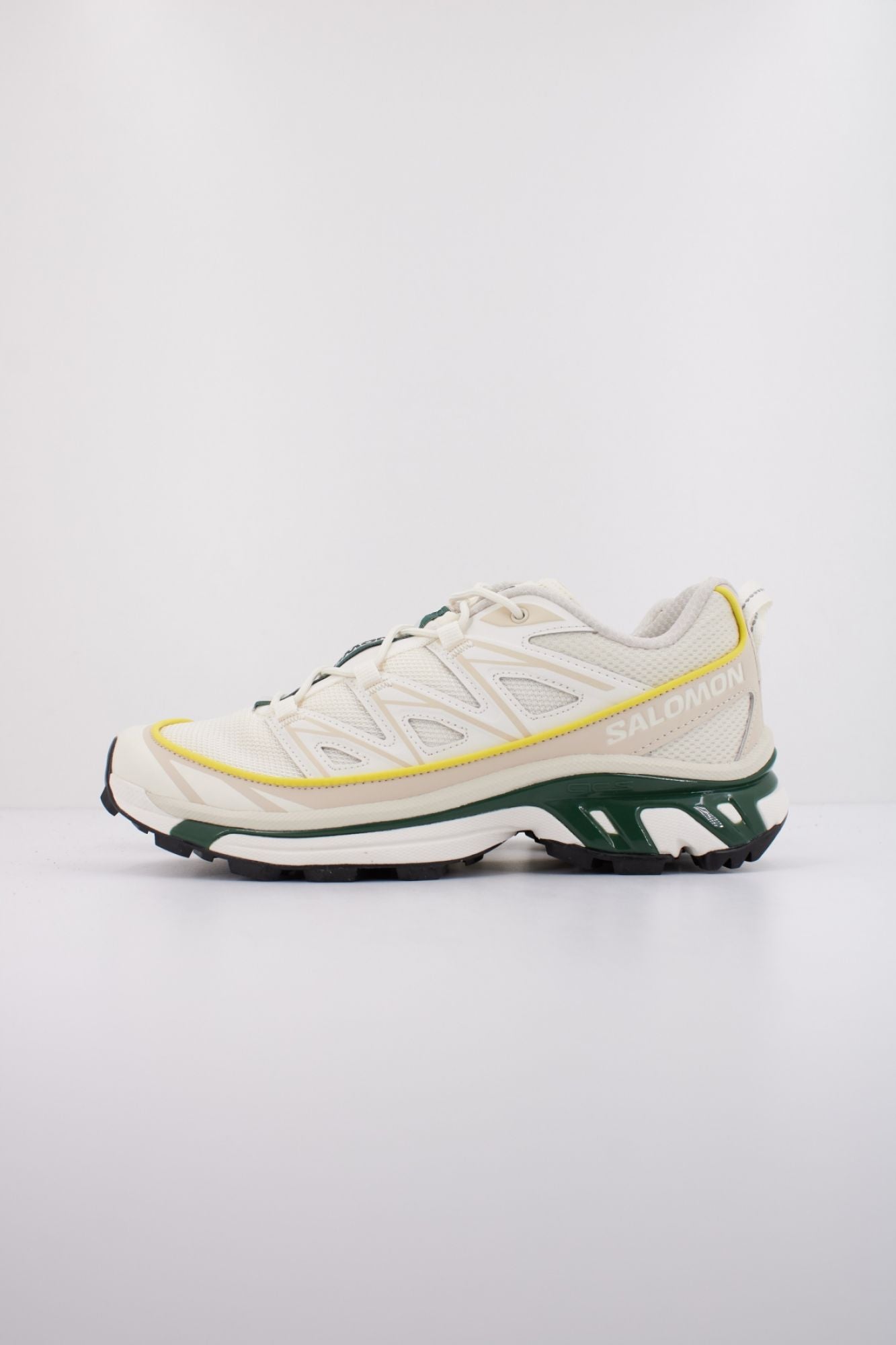 SALOMON XT 6 EXPANSE en color BEIS (1)