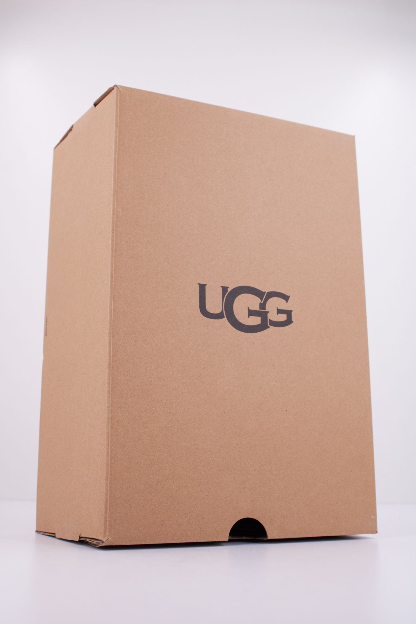 UGG W DISQUETTE en color MARRON (6)