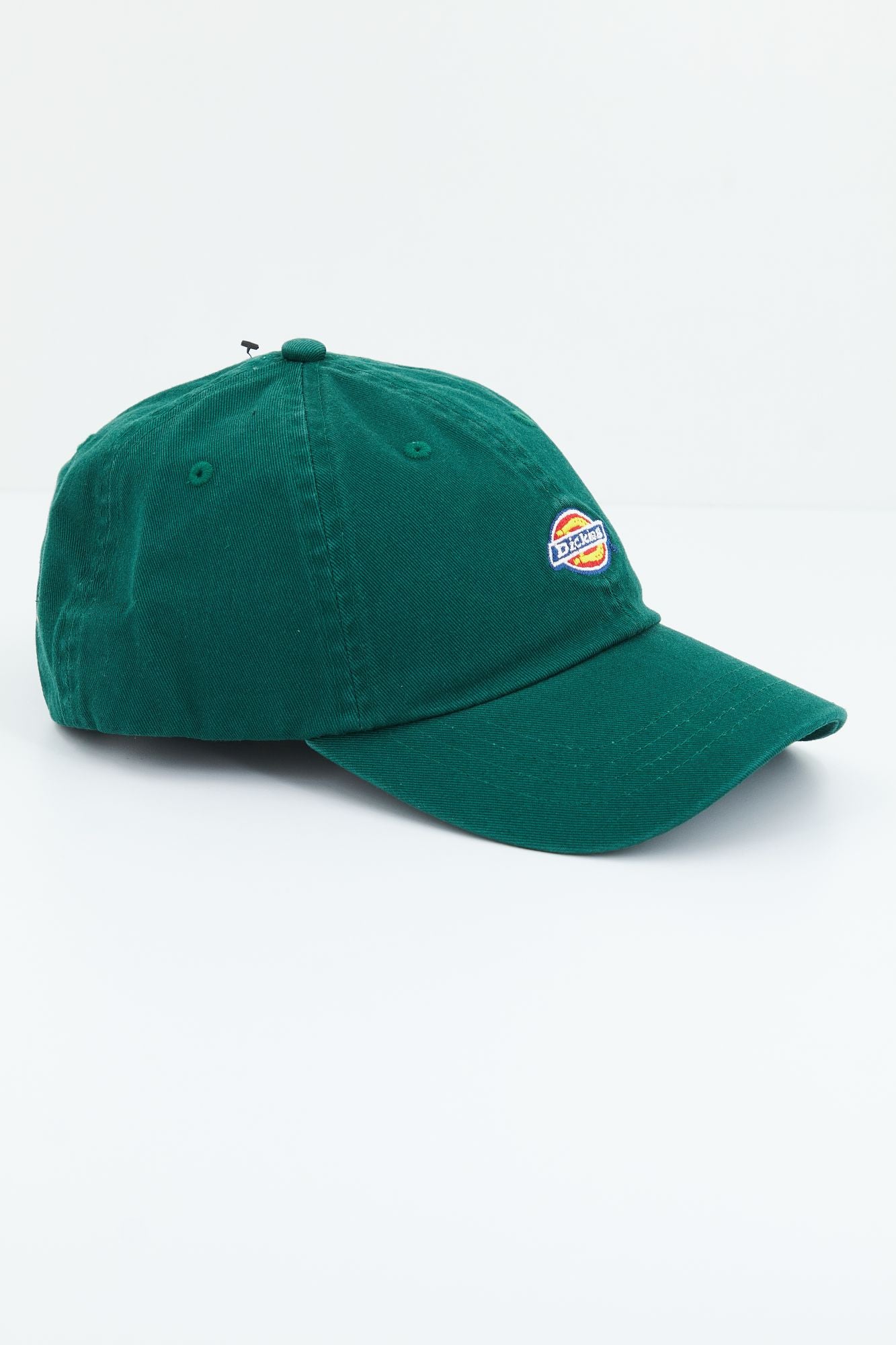 DICKIES HARDWICK en color VERDE (2)